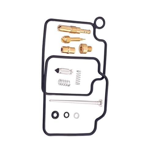 Kit de maintenance carburateur moto compatible CMX250 C Rebel 250 et CB250 1 Set