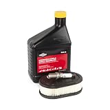Briggs & Stratton 84002441 EX/EXi Engine Tune-Up Kit