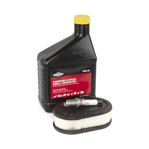 Briggs & Stratton 84002441 EX/EXi Engine Tune-Up Kit