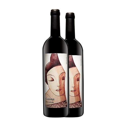 Clos Galena Priorat 75 cl Vino tinto (Caja de 2 Botellas de 75 cl)