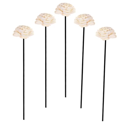 Levemolo 5 ^hCt[ fBt[U[XeBbN ̃fBt[U[ [Yt[GbZVIC[hfBt[U[ t[tOXXeBbN Ԃ̑ւc f