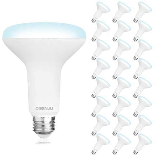 Image of DEGNJU 24 Pack Indoor Flood Light Bulbs, BR30 LED Bulb 7W Equivalent 65W, Dimmable Recessed Light Bulbs, 650LM 5000K Daylight 15000 Lifetime LED Can Light Bulb, Interior Home E26 Base