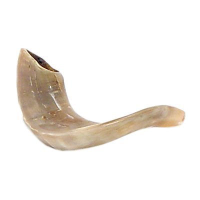 Kosher Shofar Ram's Horn Shofar Mini 25-28cm Polished White