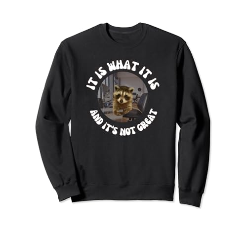 It is what it is and it's not great raccon meme mapache Sudadera
