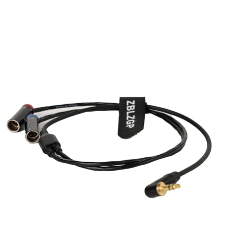 Câble audio TA3M Mini XLR vers TRS 3,5 mm Y pour récepteur sans fil et caméra Canon