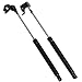 Qty (2) Strong Arm 4217L 4217R LEXUS ES300 1992 To 1996 Toyota Camry 1991 To 1996 Hood Lift Supports Shocks Struts