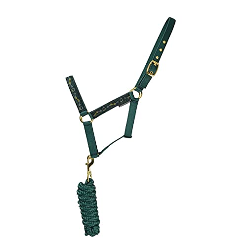Hy Elegant Stirrup And Bit Horse Headcollar and Leadrope (Full) (Forest Green/Gold/Silver)