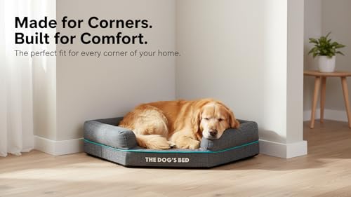 The Dog's Bed Orthopädisches Hundebett mit Memory-Schaum, Wasserdicht, Groß, Grau und Blau, lindert Arthritis und Hüftdysplasie, Therapeutisch und Unterstützend, Waschbar, Tierärztlich Geprüft