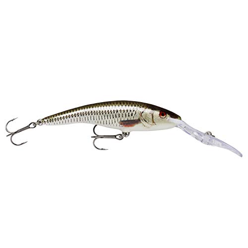 Rapala - Deep Tail Dancer Angelköder - Angelzubehör aus Balsaholz - Stabile Tauchschaufel - Süßwasser Spinnköder - Lauftiefe 6m - Fischköder 9cm, 13g - Hergestellt in Estland - Live Roach