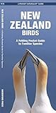  New Zealand Birds: A Folding Pocket Guide to Familiar Species (Pocket Naturalist Guide)