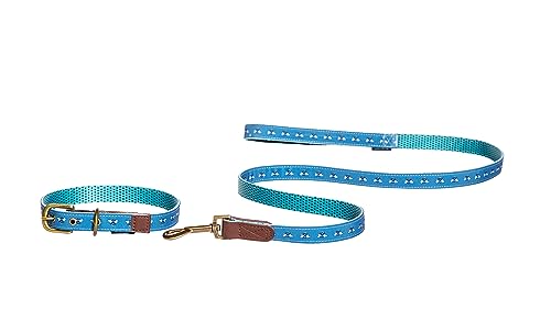 Fatface Spotty Bees Woven Genuine Leather Trim Metal Buckle Blue Dog/Puppy Lead Small 15mm 120 cm - Image 3