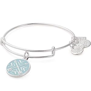 Alex and Ani Path of Symbols Expandable Bangle for Women, Arrows of Friendship Charm, Shiny Silver Finish, 2 to 3.5 in