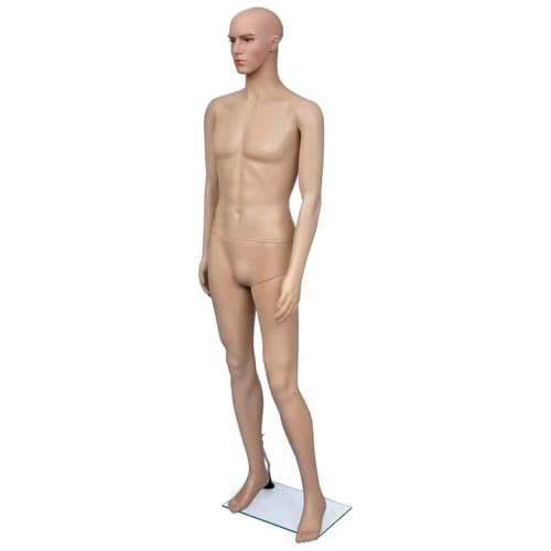 vidaXL Mannequin de Vitrine Homme Support de Verre Magasin Couture Présentoir