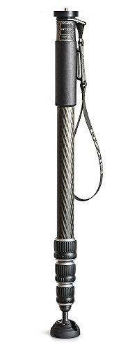 Gitzo GM2542 - Monopié para Fotografía Profesional Serie 4 de 4 Secciones para DSLR, Cámaras Reflex y Videocámaras Fabricado en Fibra de Carbono, Soporta hasta 30Kg