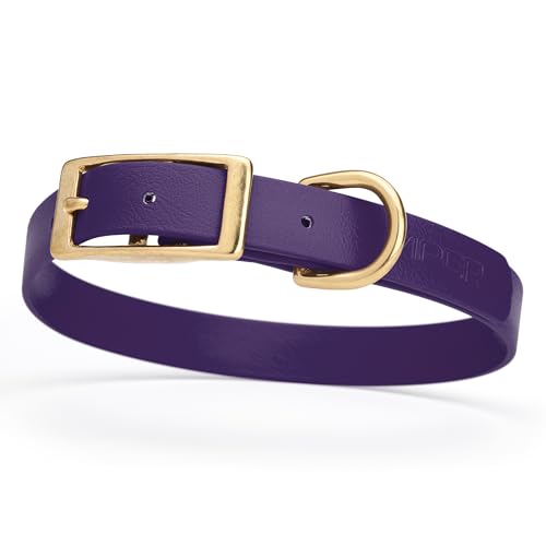 Image of Viper Biothane Heavy Duty Waterproof Dog Collar Strong Coated Nylon Webbing w /Solid Brass Hardware Odor-Proof Easy to Clean High Performance Fits Small Medium or Large Dogs, Violet Purple