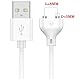 Panlouting Ersatz USB Ladekabel mit Magnet | 80cm Lang | 1A / 8mm | Für Spielzeug, Massagegeräte, Elektrische Zahnbürsten, Smartwatches, Hundetrainer, Gesichtsreiniger