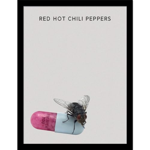 Pyramid International Red Hot Chili Peppers (I'm With You) Impression collector - 30 cm x 40 cm - Poster mural - Décoration musicale sous licence officielle -...