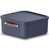 Rotho Caja de almacenaje con tapa y asa, 20 L, Azul