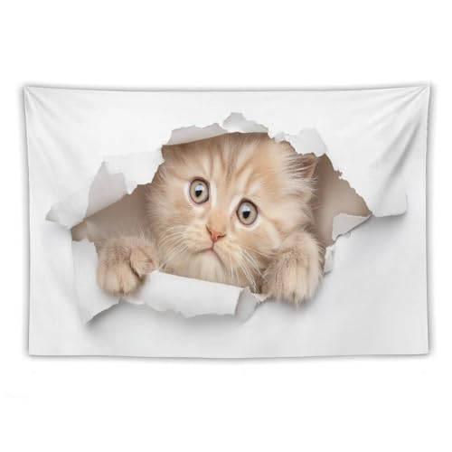 Tapiz de poliéster para pared de dormitorio con diseño estético de gato naranja Jubonexis