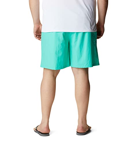 Image of Columbia Nylon Relaxed Fit Mens Shorts (S22-FM4009-362-P)