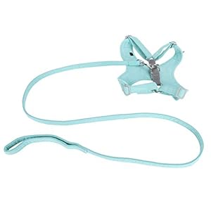 Zjchao Hundegeschirr mit Traktionsseil Kit