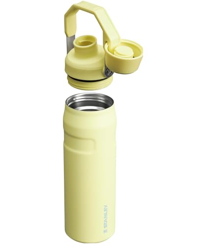 Image of Stanley IceFlow Fast Flow Water Bottle | Angled Spout Lid | Lightweight & Leakproof for Travel & Sports | Insulated Stainless Steel | BPA-Free