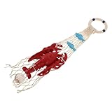 TOYANDONA Escultura de Langosta de Resina Náutica Decoración de Pared con Marinera Roja Colgante para Restaurante de Mariscos Patio Dormitorio y Puerta Modelo Realista de Criatura Marina