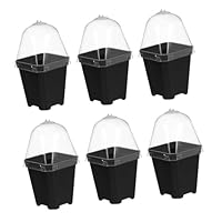 Garneck 10 Stück Anzuchttöpfe Mit Untersetzer Und Kuppel – Durchsichtige Kunststoff Pflanztöpfe Für Die Gartenarbeit Und Pflanzenanzucht - Ideal Für Den Kindergarten Und Hobbygärtner