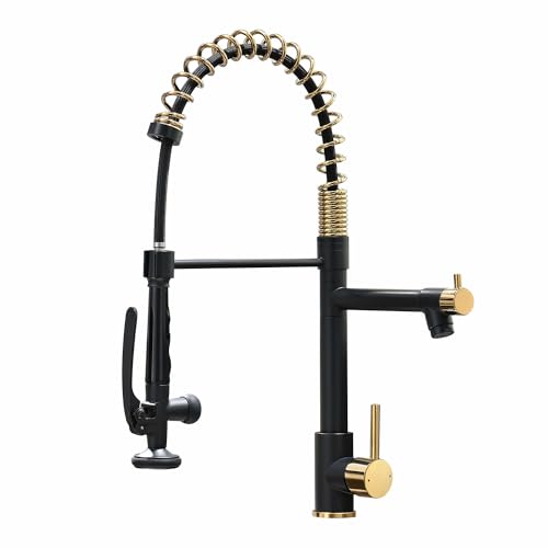 Image of Fapully Black&Gold Kitchen Faucet with Sprayer,Commercial Pull Down