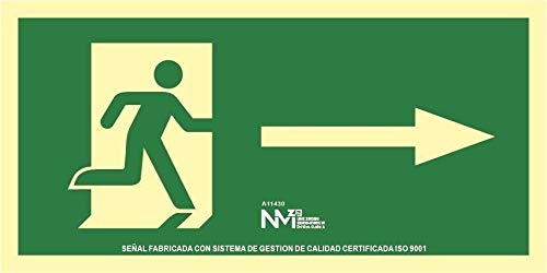 Normaluz B18131 - Señal Luminiscente Salida Izquierda Clase B Pvc 0,7Mm 63,2X31,3Cm Con Cte, Ripci