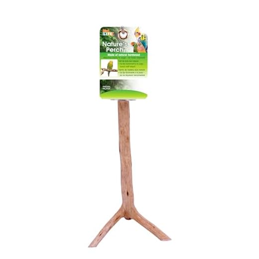 Penn-Plax Bird-Life Natural Wooden Bird Perch Stand Platform for Cages - Great for Parrotlet, Parakeet, Finches, and Other Small Size Birds