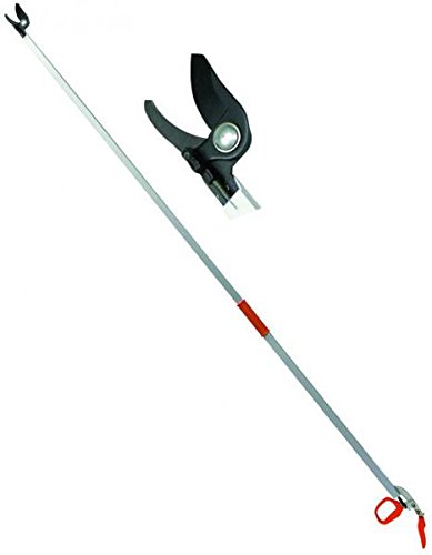 Blinky 7060020 Forbici per Potatura, Fisse