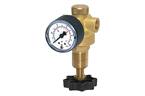 RIEGLER 101308-484.25 C - Regulador de presión para agua, incluye manómetro, G 1/4, 0,5-10 bar, 1 unidad