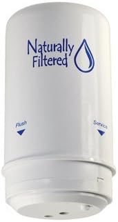 Shower Filter Cartridge (Compatible with Wellness Filter)