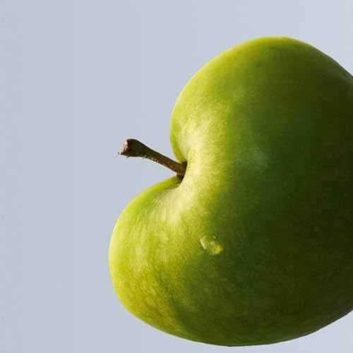 Boss BOTTLED EDT 100ml