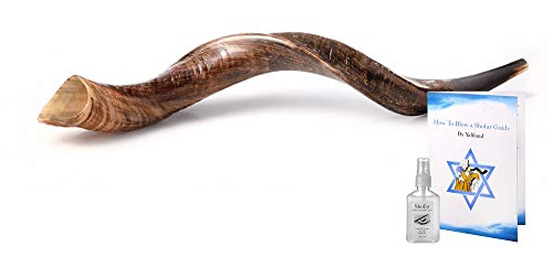 Yemenite Kudu Horn Shofar Shofars with Free Anti Odor Spray, guide Shofar from Israel (43