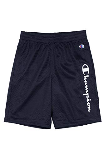 Champion Boys Heritage Script Mesh Short (Large,Navy/White Script)2