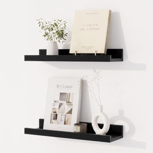 Dreamland Picture Ledge Shelf for Wall, Floating Shelves Set of 2,16 inch Long Floating Shelves with Lip for Living Room,Bedroom,Bathroom,Kitchen,Black