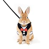🐇Acolchado transpirable y suave - El transportín está fabricado con material de malla de aire transpirable que no calentará en exceso a su conejo, garantizando su comodidad a la vez que es lo suficientemente duradero y resistente para su uso durante todo el año. El suave acolchado y el diseño blando harán que su conejo se estrese menos.