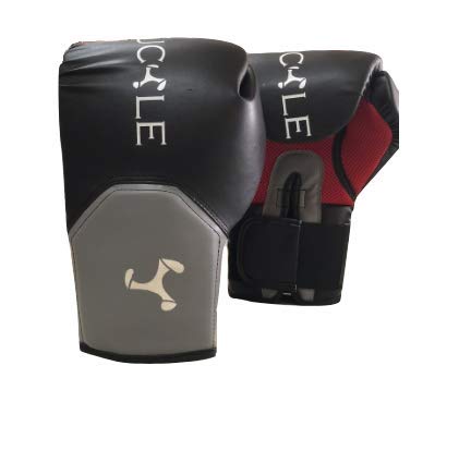 Le Buckle Pro Style Unisex Boxing Training Gloves (Black & Red, 12oz) (B07GYBC1YY) Amazon Price History, Amazon Price Tracker