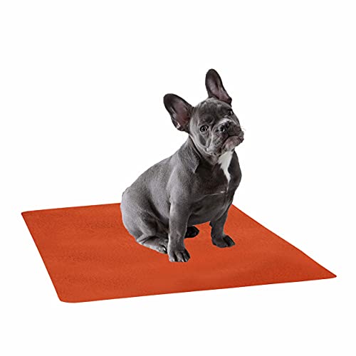 Image of Trance Waterproof Pet Training Pads | Reusable Pee Pad for Dogs Cats Puppy and Pets | Washable Pet Dry Sheet | Potty Trainer | Soft and Hypo-Allergenic (Medium, Size 1 x 0.7 m | 100 x 70 Cms, Brick Red)