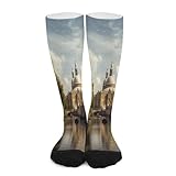 FekiLoot Canal And Church Compression Socks Cozy Soft Support Socks Fashion Breathable Knee High Tube Socks for Adult