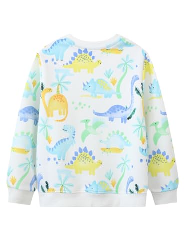 Boys Sweatshirts Casual Sweatshirts Cotton Sweatshirts Long Sleeve T-shirts Crew Neck Cartoon Tops for Boys-1832