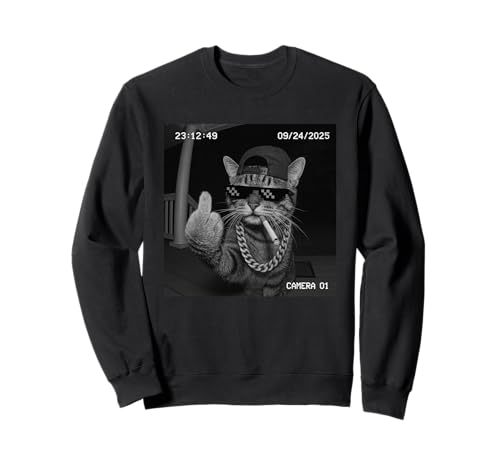 Funny Cat Flipping Off Middle Finger On Security Camera �g���[�i�[