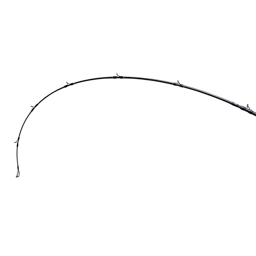 Amazon | フィッシュマン ブリストコモド7.5H | FISHMAN | バスロッド