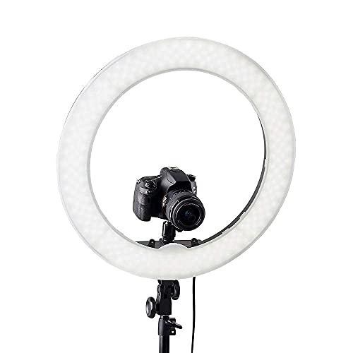 LED Ringlicht Kit Bleaching Fülllicht Led Ring Fotografie Licht Fundus Licht Mit Lichtrahmen Schminkspiegel… – Bild 5