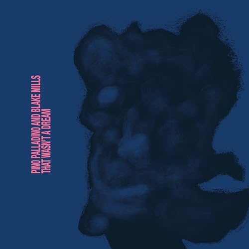 Album Art for That Wasn't a Dream by Pino Palladino/Blake Mills