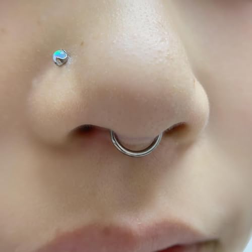Ocptiy 6G 8G 12G 14G 16G Hinged Septum Rings Gauges Tunnels Plugs Earrings Stretching kit Surgical Steel Hinged Eyebrow Lip Belly Ring Cliker Helix Tragus Daith Rook Earrings Stretcher4