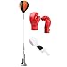 Punching Reflex Ball Set Imagen de Punching Reflex Ball Set