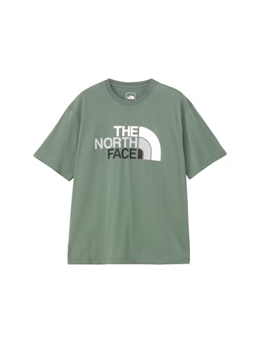 THE NORTH FACE 半袖 カットソー Tシャツショートスリーブフラッシュドライカラフルロゴコットンティー メンズメンズ